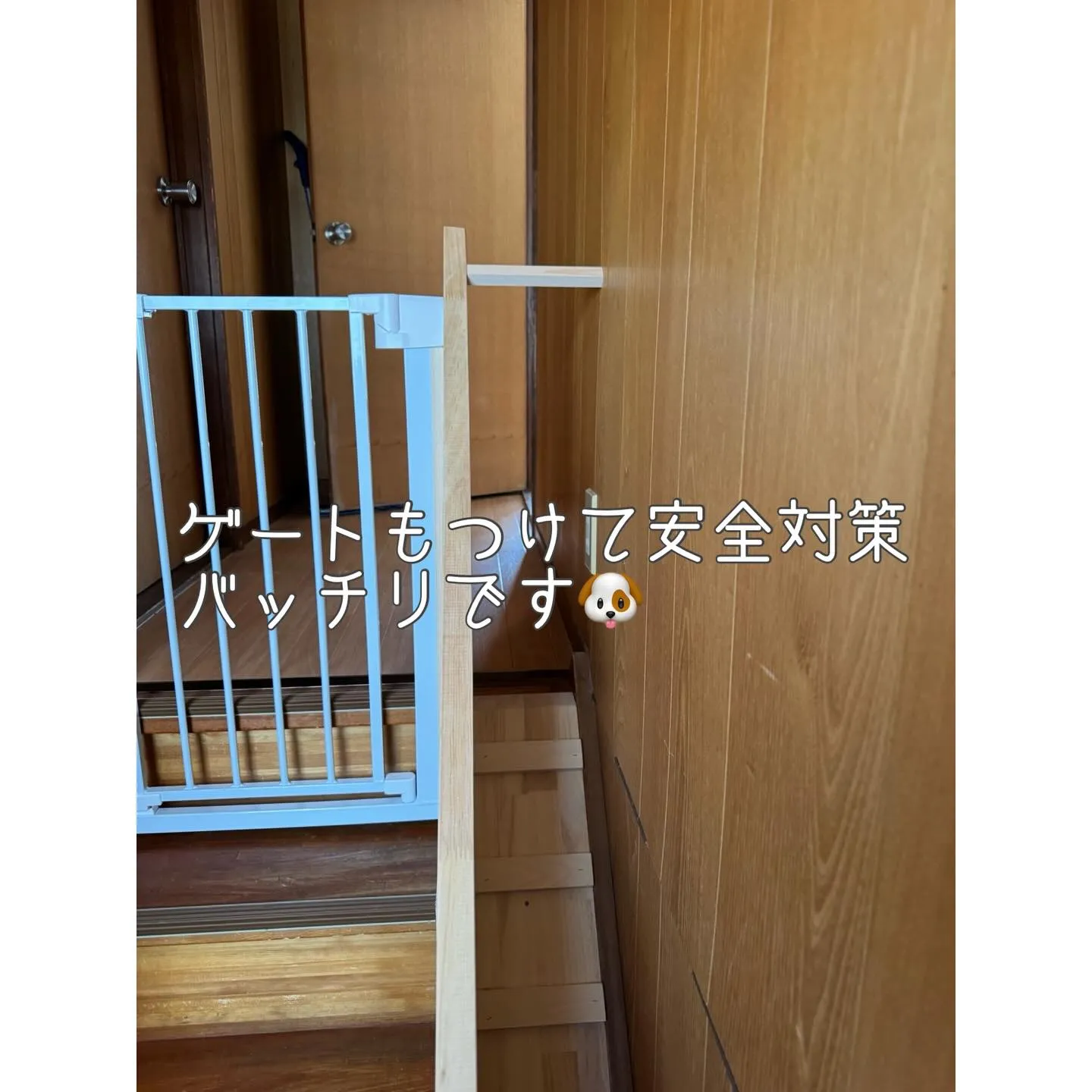 ワンちゃん達のためのスロープ階段を作りました🐶